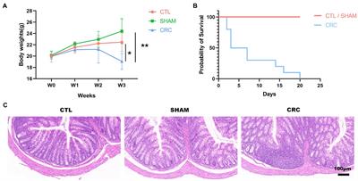 Excessive consumption of mucin by over-colonized Akkermansia muciniphila promotes intestinal barrier damage during malignant intestinal environment